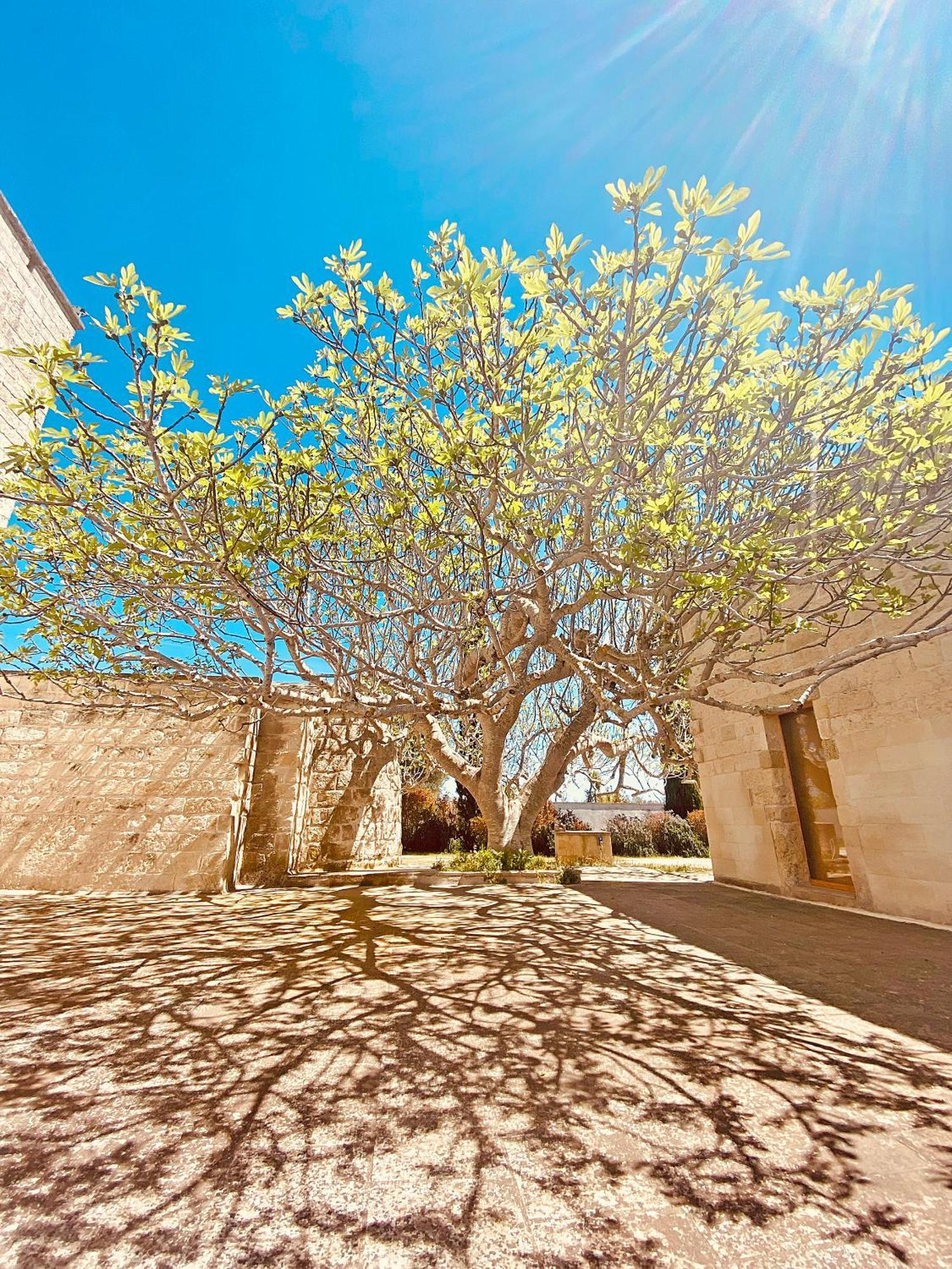 Masseria La Millenaria San Foca Buitenkant foto