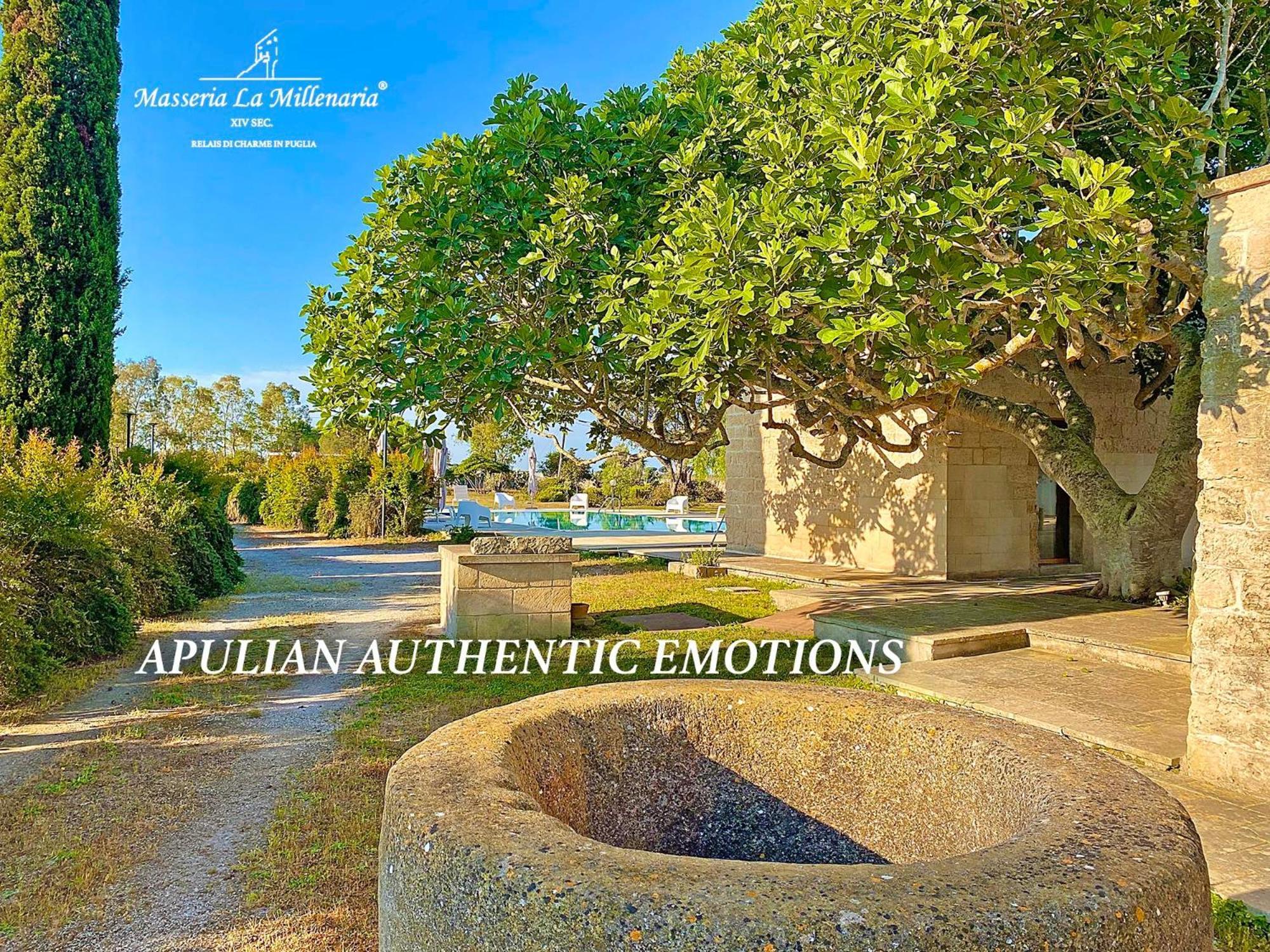 Masseria La Millenaria San Foca Buitenkant foto